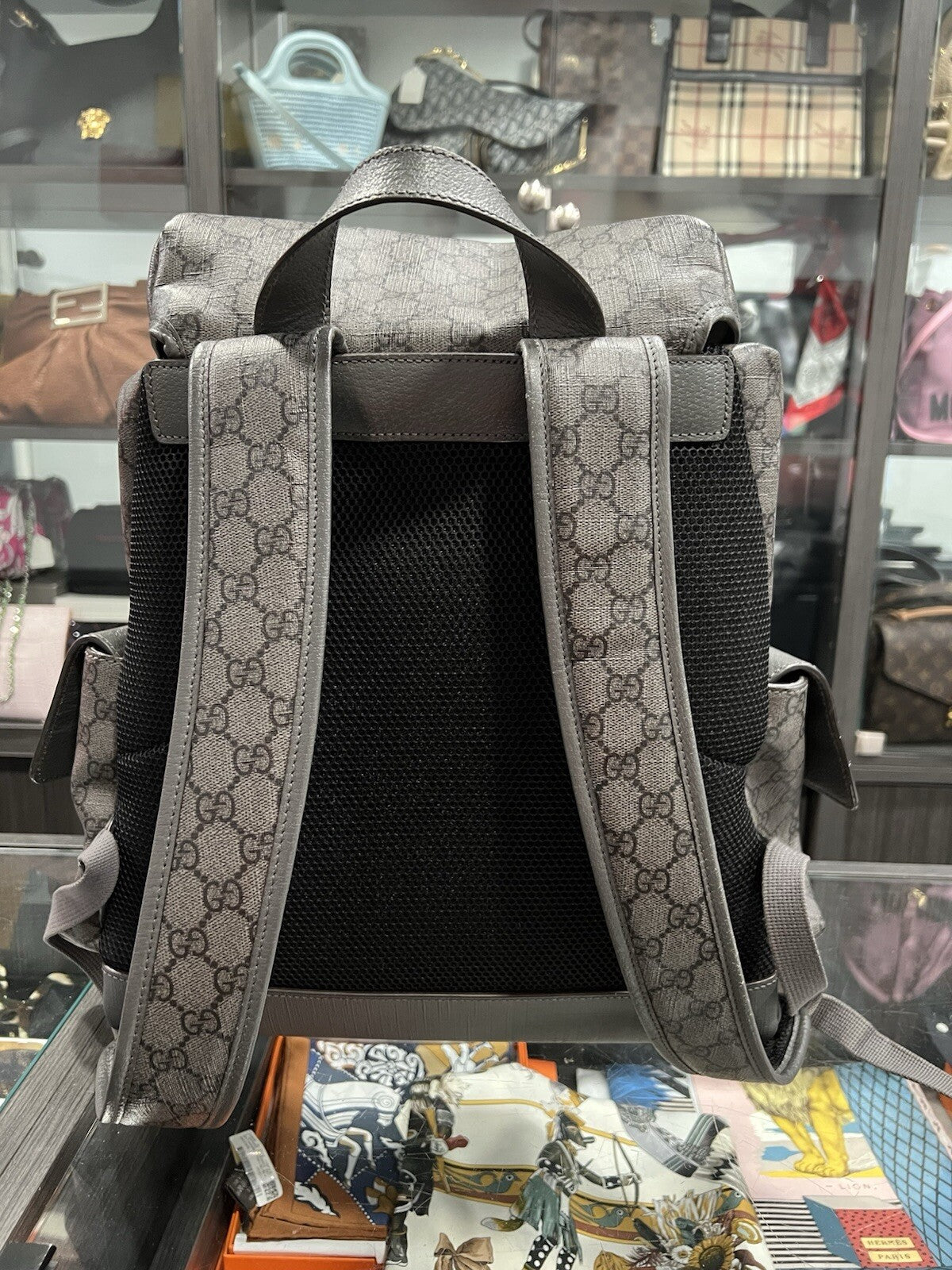 Gucci Ophidia Grey Backpack With Authenticity