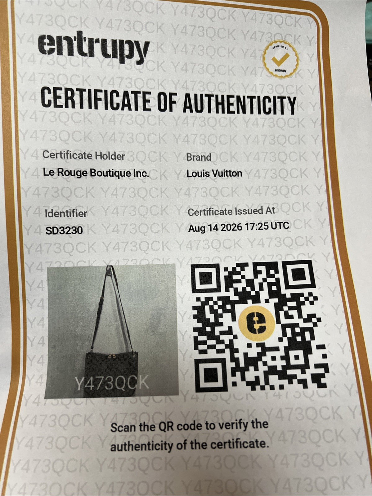 Louis Vuitton Damier Ebene South Bank Besace Crossbody Bag W/ Authenticity