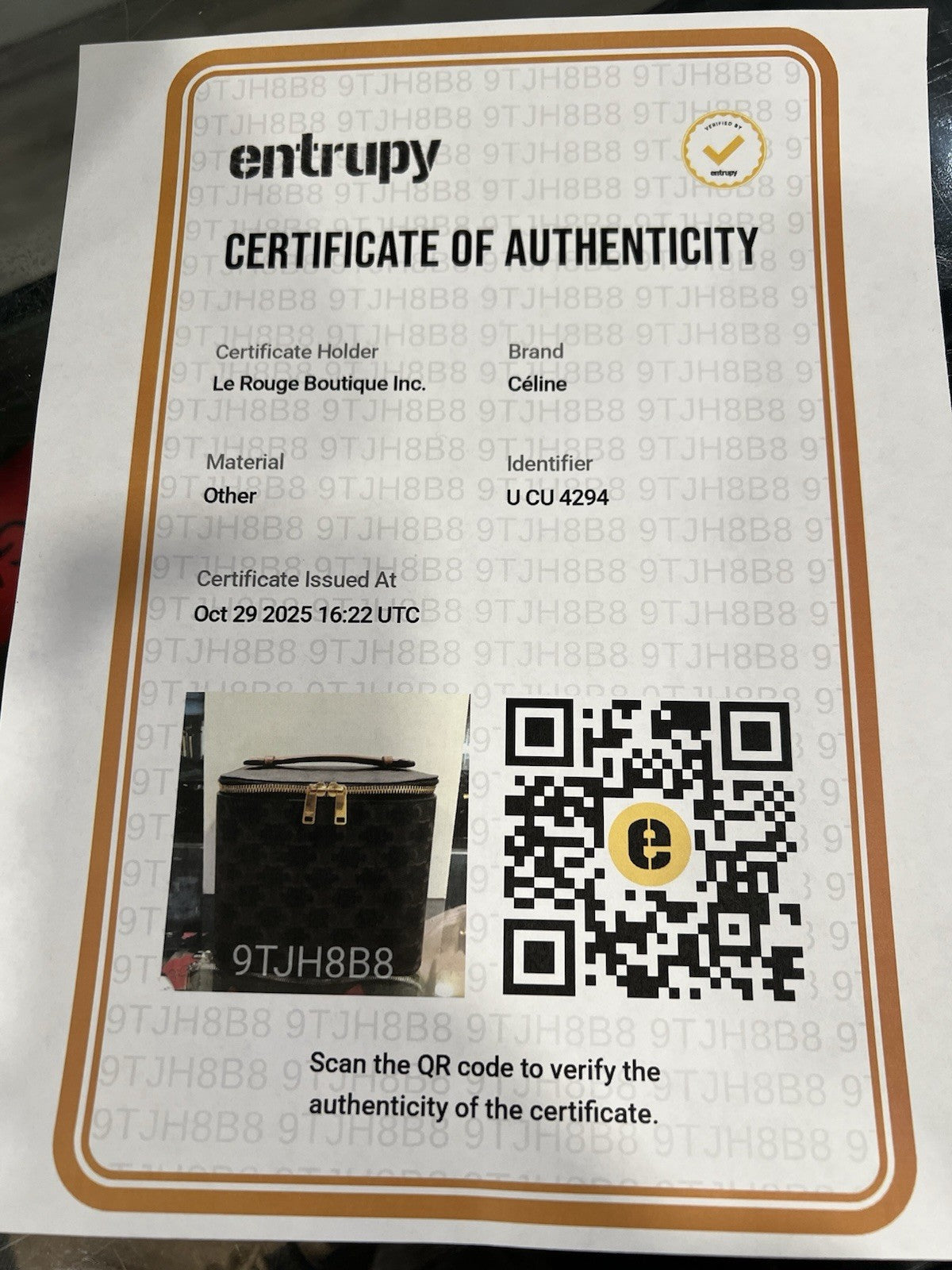 Celine Triomphe Square Vanity Case With Authenticity Retail $920