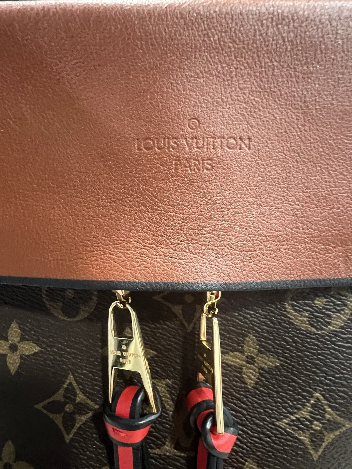Louis Vuitton Tuleries Hobo Monogram Canvas & Leather W.Tags & Duster