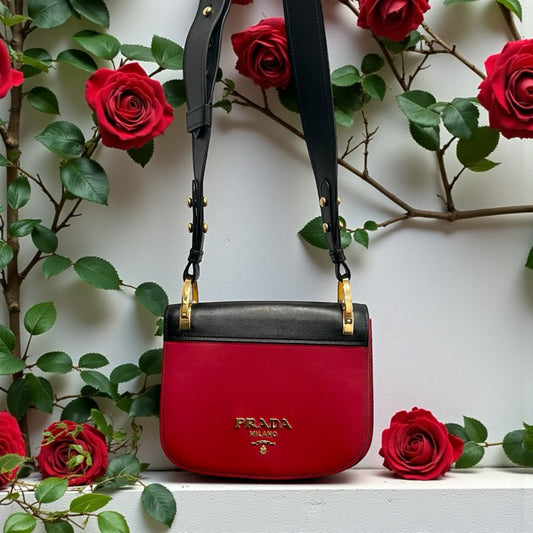 Prada Pionniere Saddle City Calfskin Small Crossbody Bag W/Authenticity