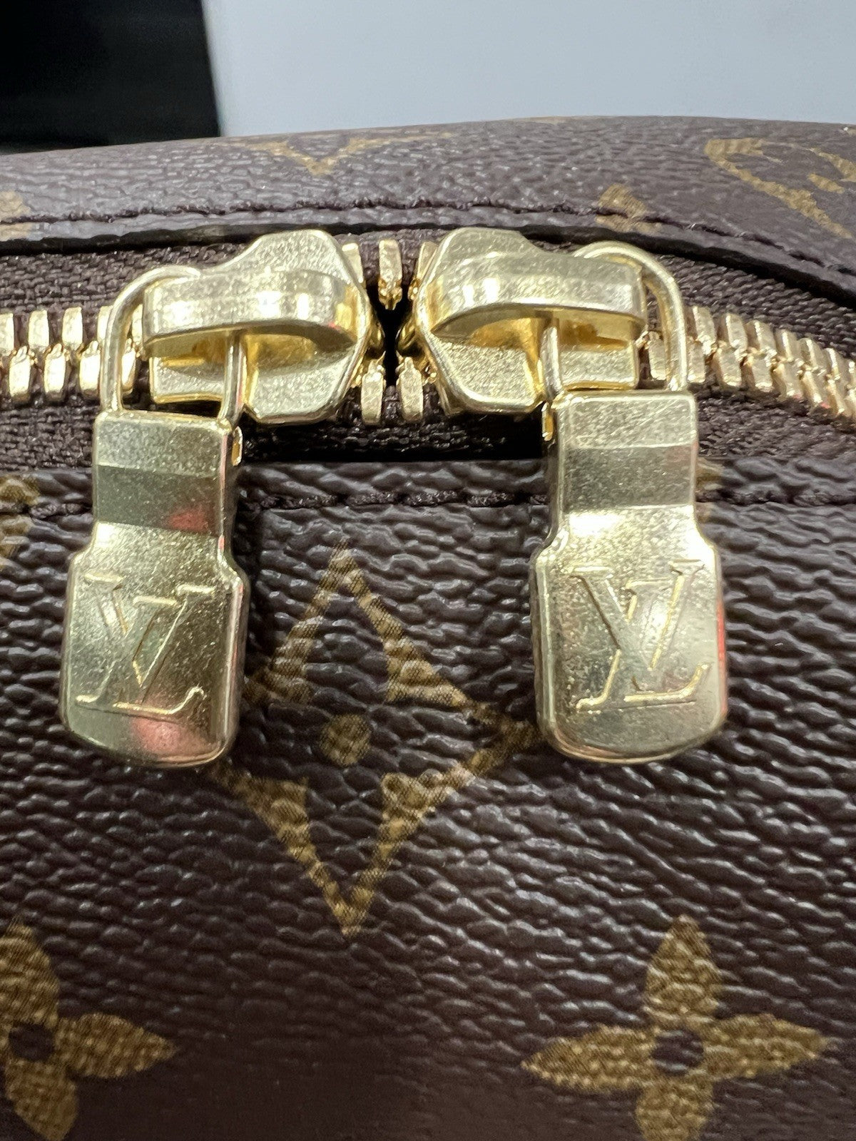 Louis Vuitton Monogram GM Cosmetic Pouch