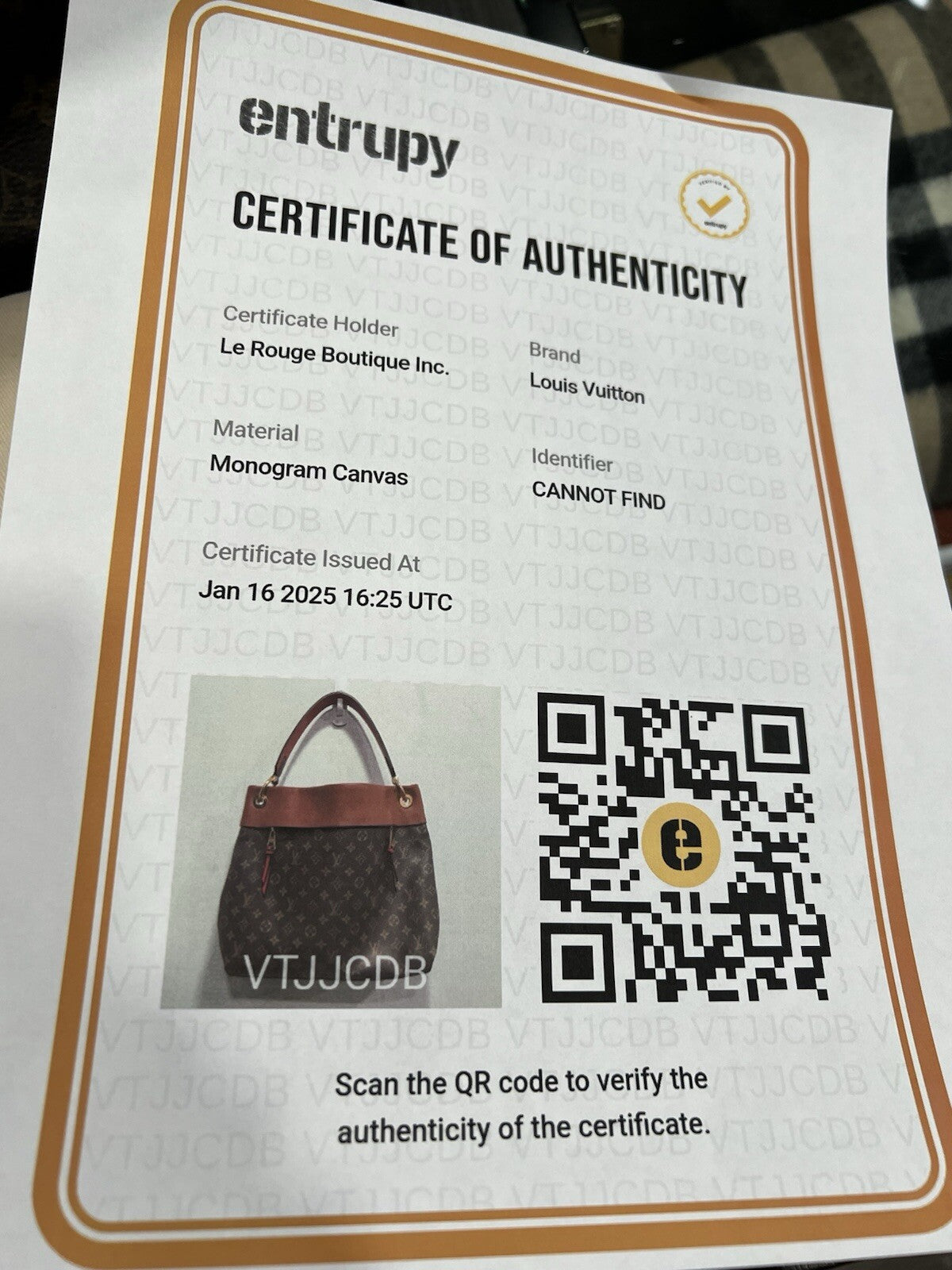 Louis Vuitton Tuleries Hobo Monogram Canvas & Leather W.Tags & Duster