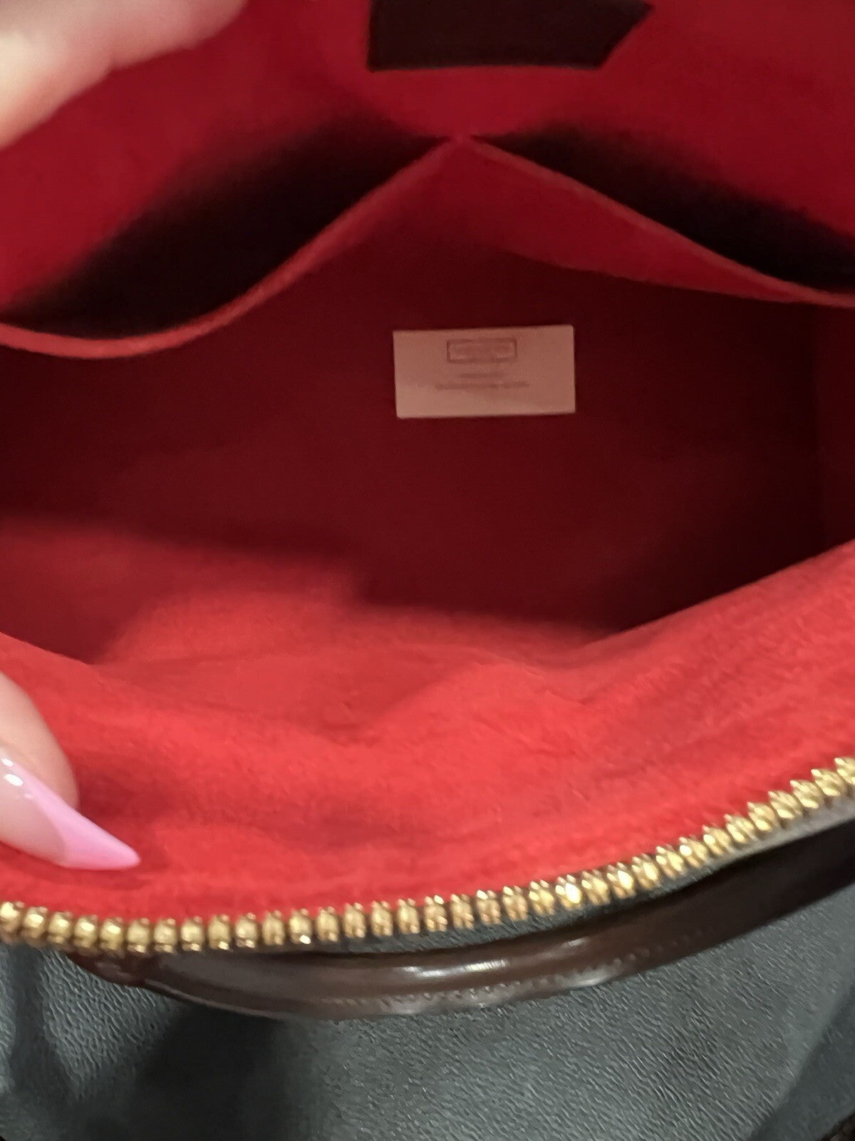 Louis Vuitton Damier EbeneTrevi PM W/Certificate Of Authenticity