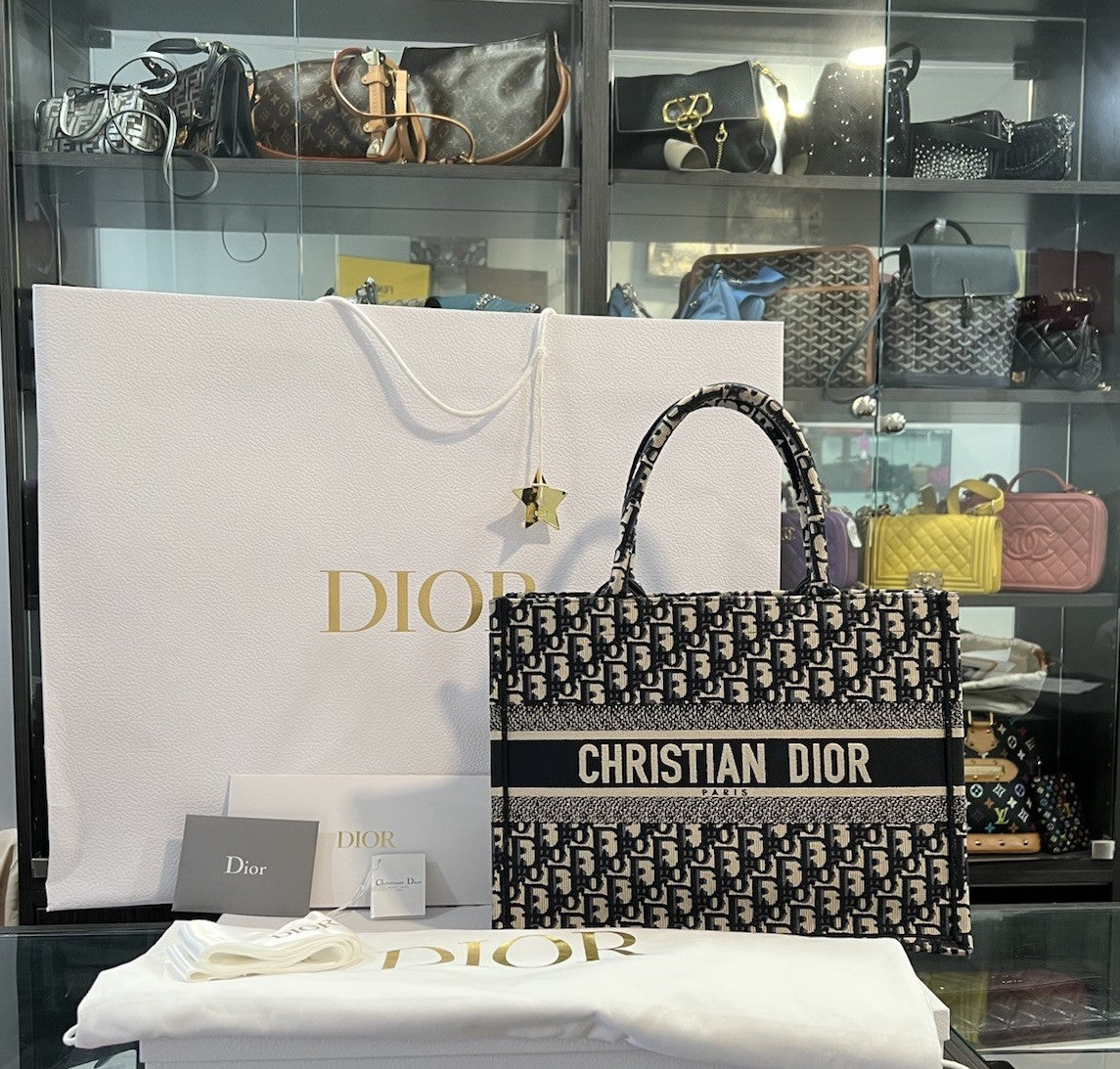Christian Dior Medium Oblique Book Tote (NEW)