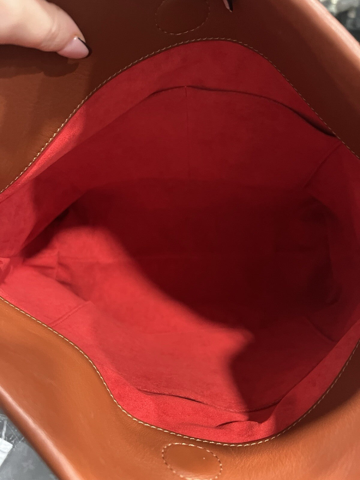 Louis Vuitton Tuleries Hobo Monogram Canvas & Leather W.Tags & Duster