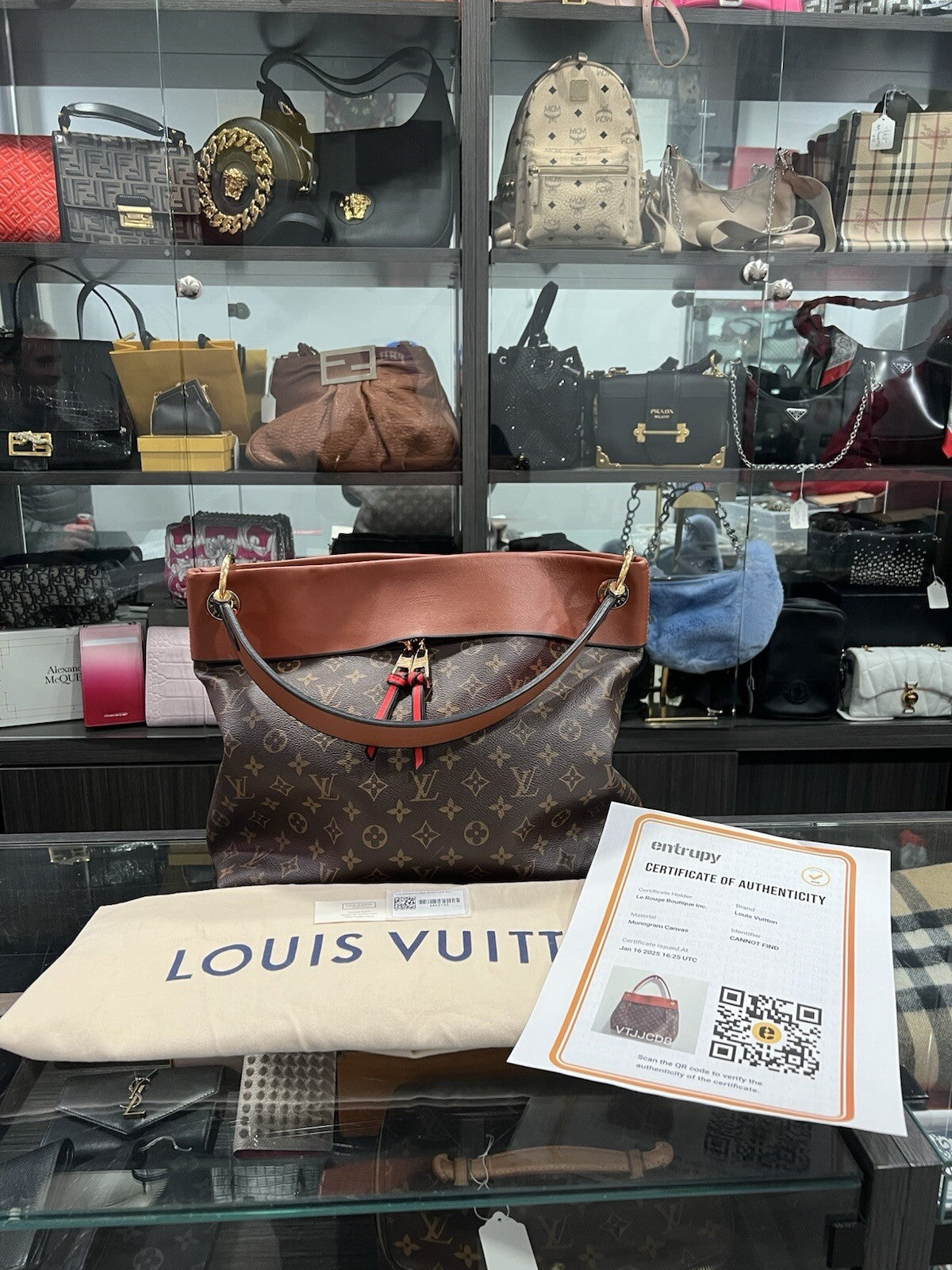 Louis Vuitton Tuleries Hobo Monogram Canvas & Leather W.Tags & Duster