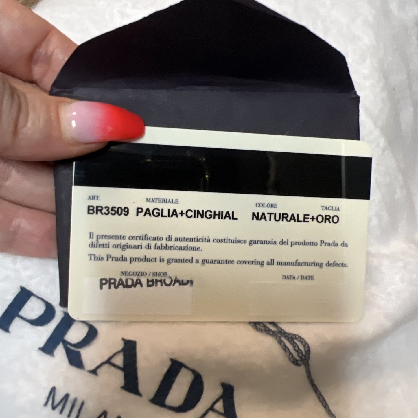 Prada Cinghiale Trimmed Paglia Straw Shoulder Bag W/Authenticity