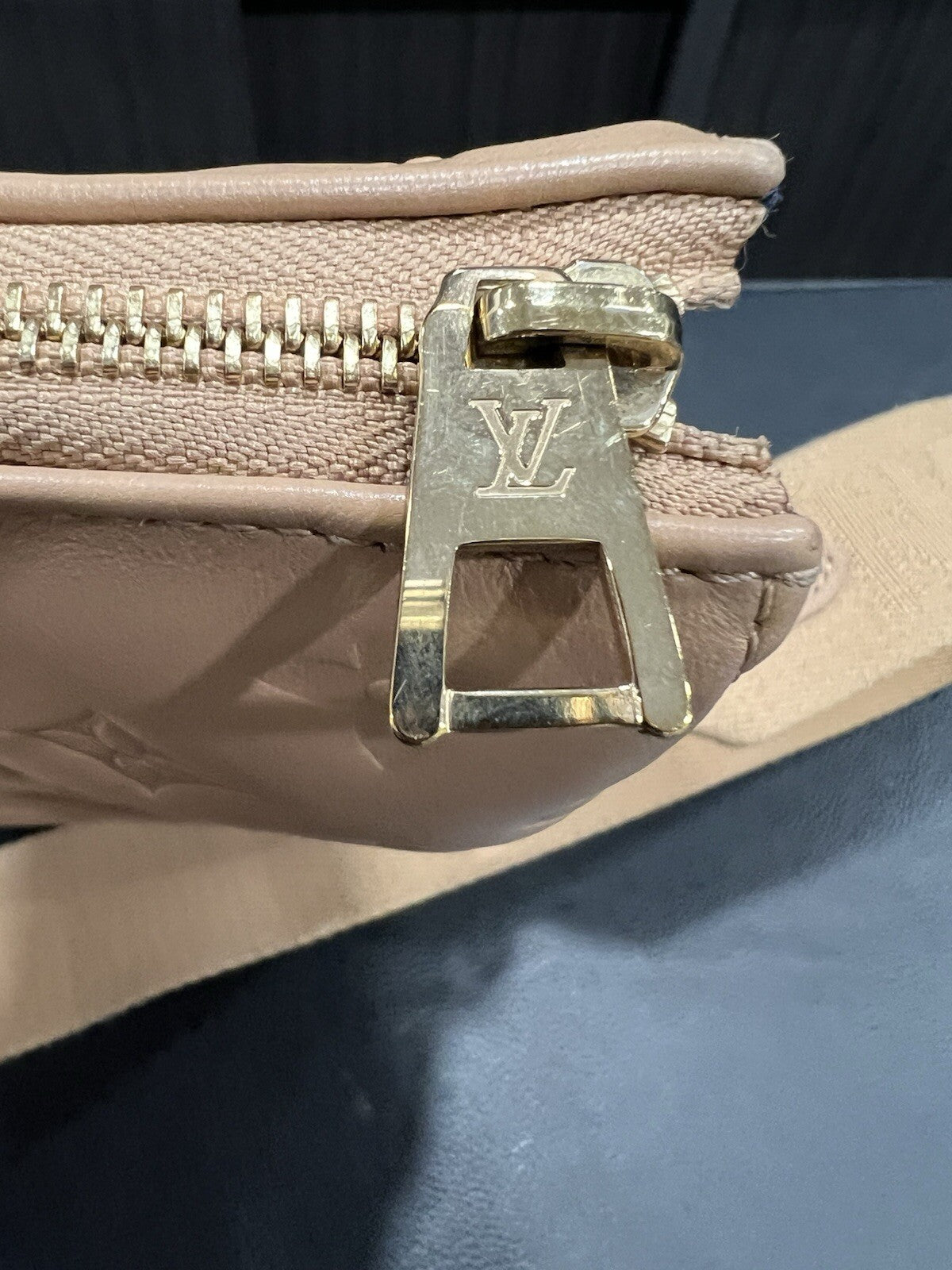 Louis Vuitton Camel Coussin PM W/Duster