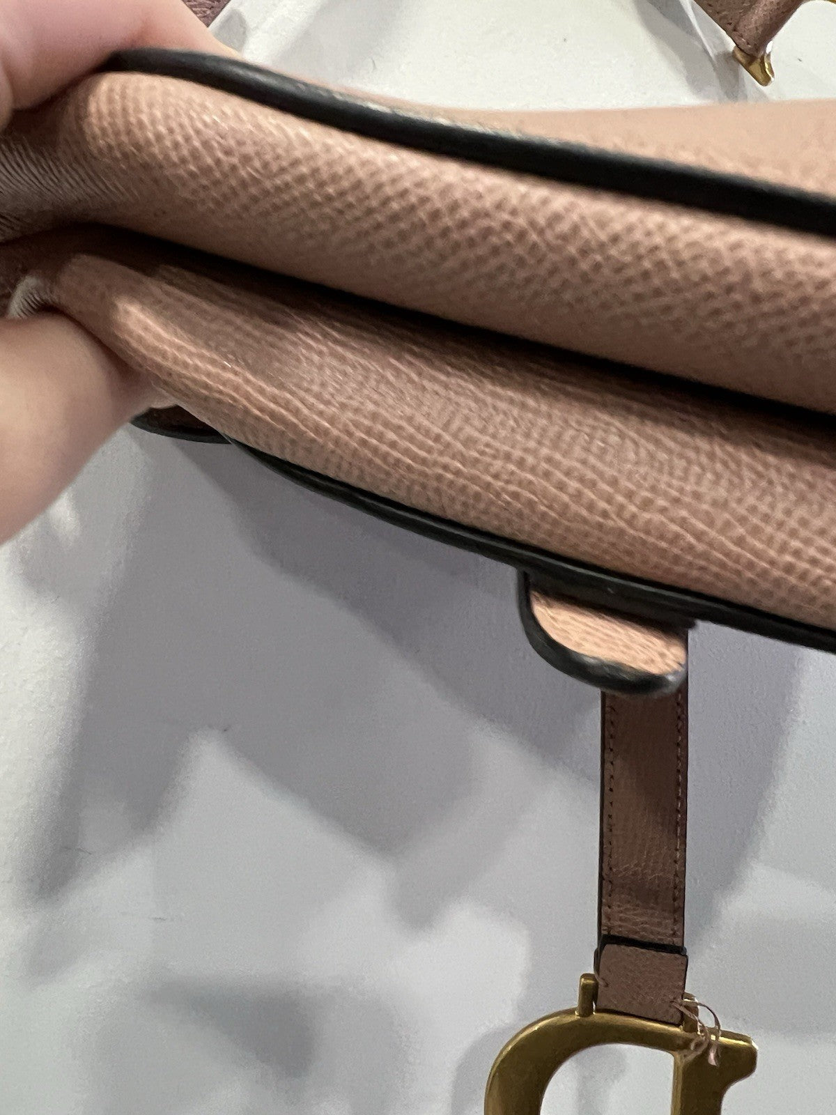 Chrisitan Dior Blush Grained Calfskin Saddle Bag