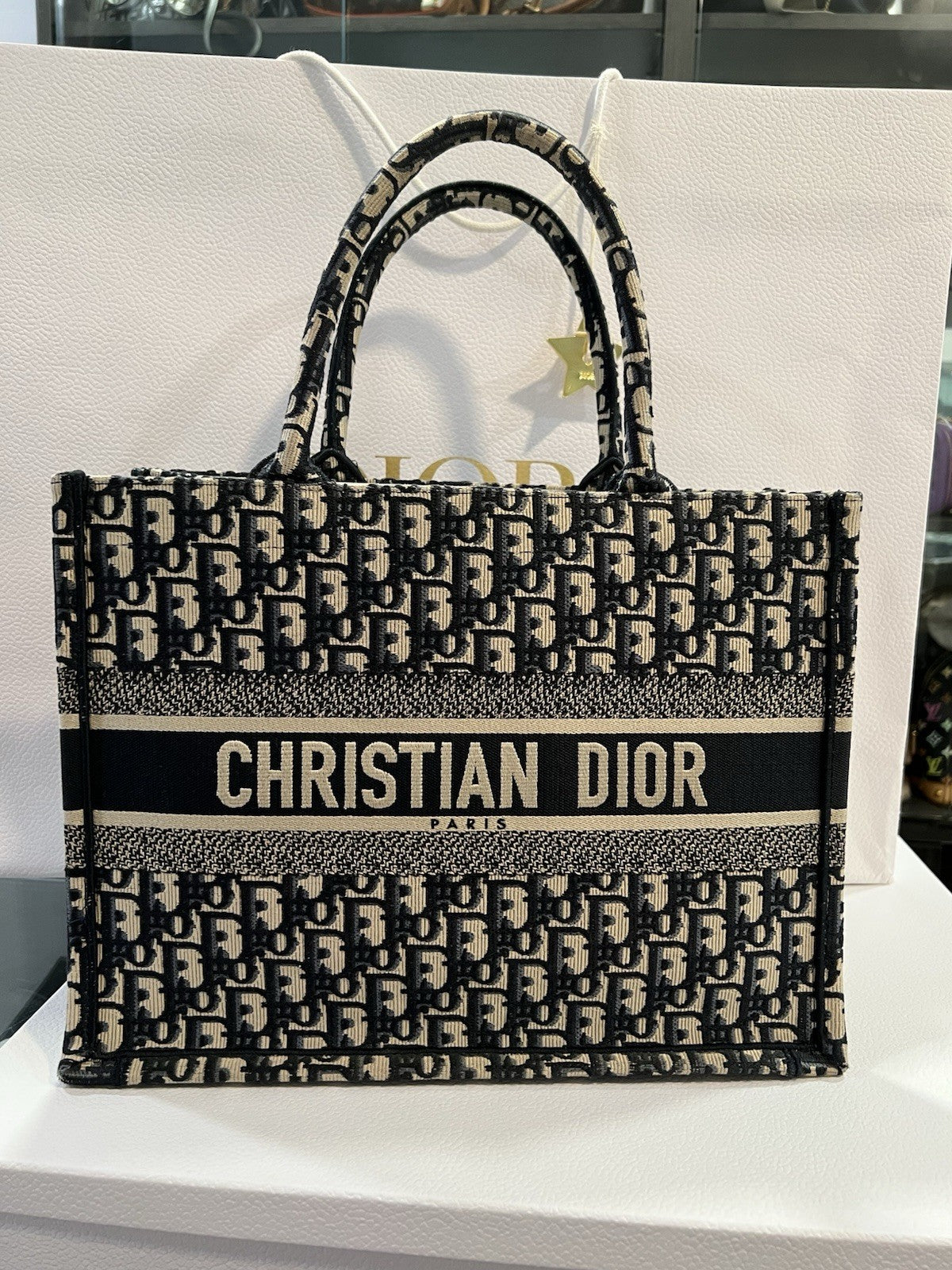 Christian Dior Medium Oblique Book Tote (NEW)