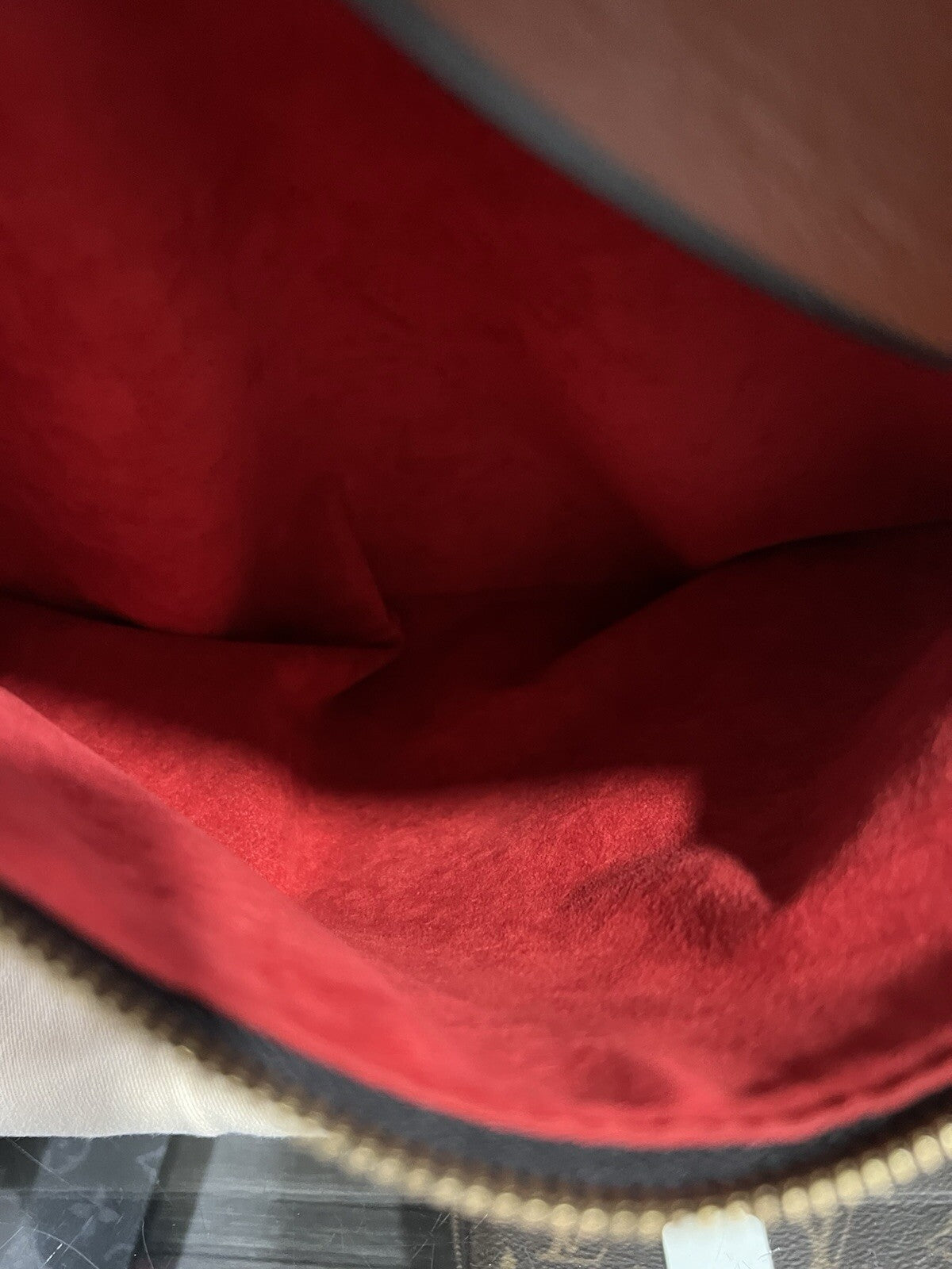 Louis Vuitton Tuleries Hobo Monogram Canvas & Leather W.Tags & Duster