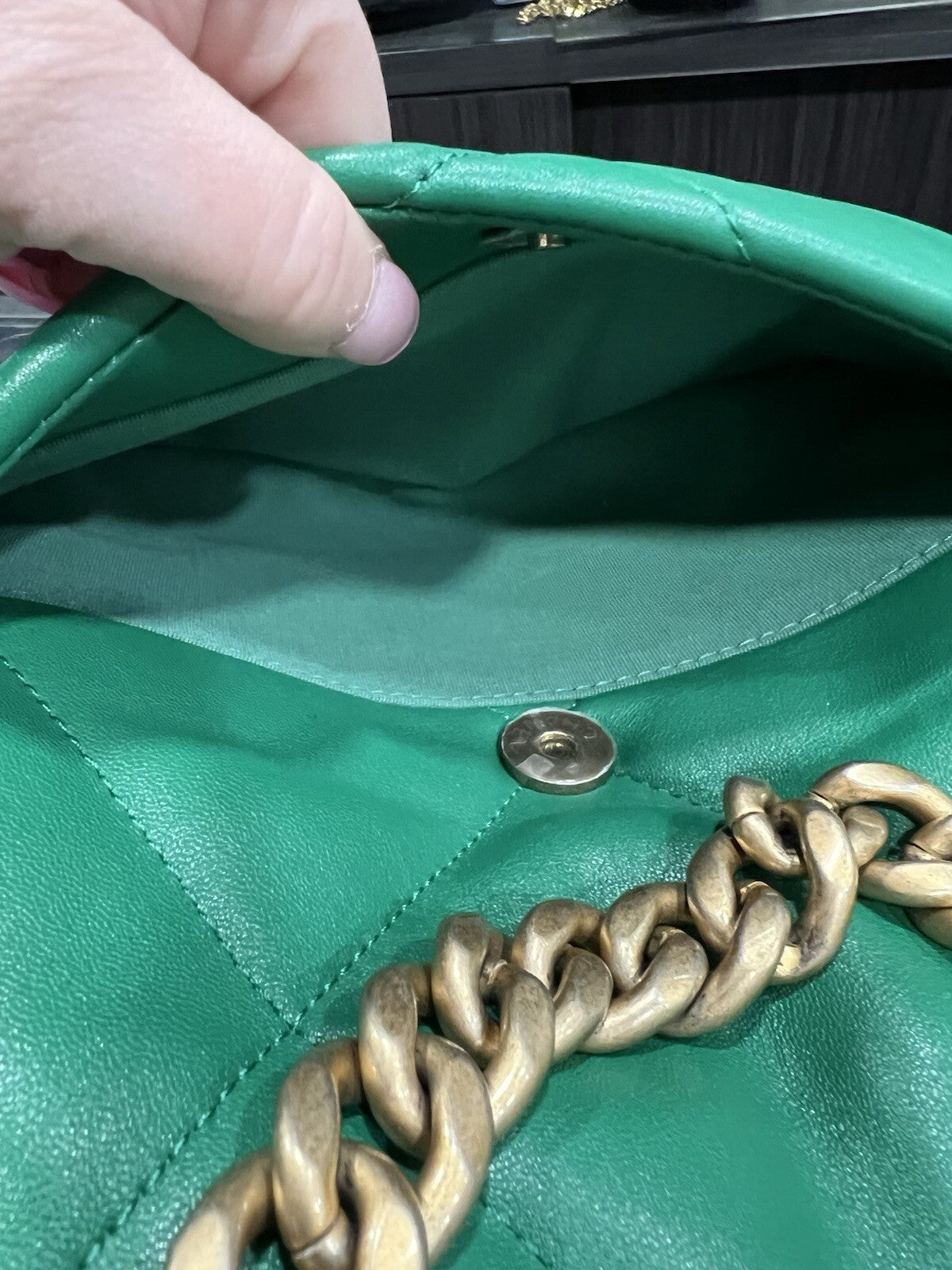 Chanel Medium 19 Flap Bag Green W/Authenticity