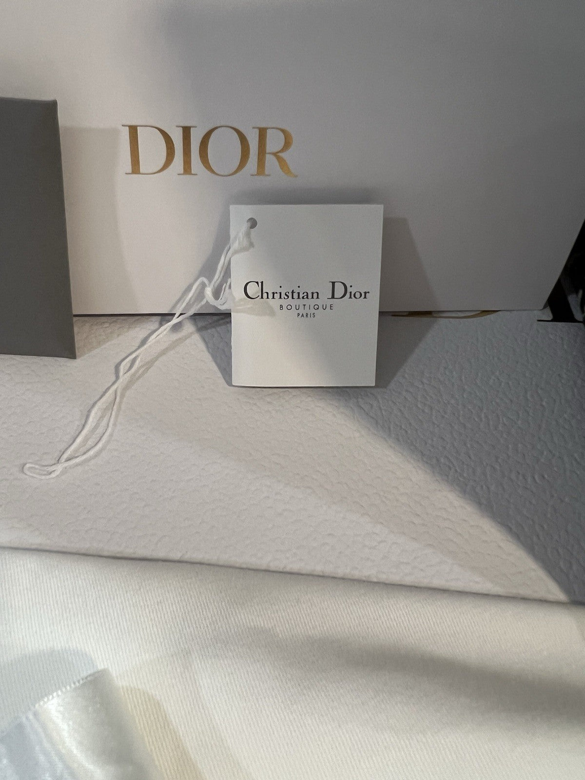 Christian Dior Medium Oblique Book Tote (NEW)