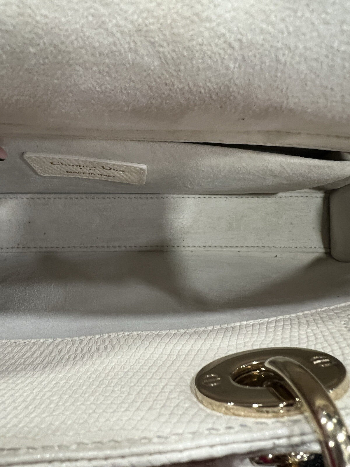 Christian Dior Lizard Ivory/Gold D-Joy Bag