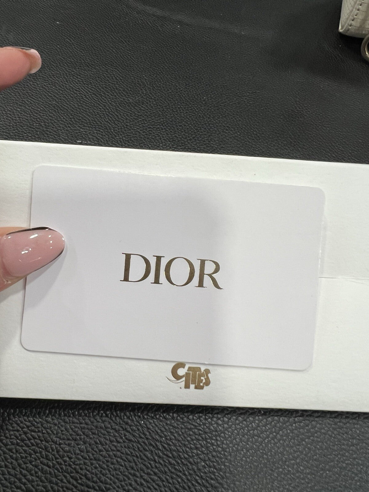 Christian Dior Lizard Ivory/Gold D-Joy Bag