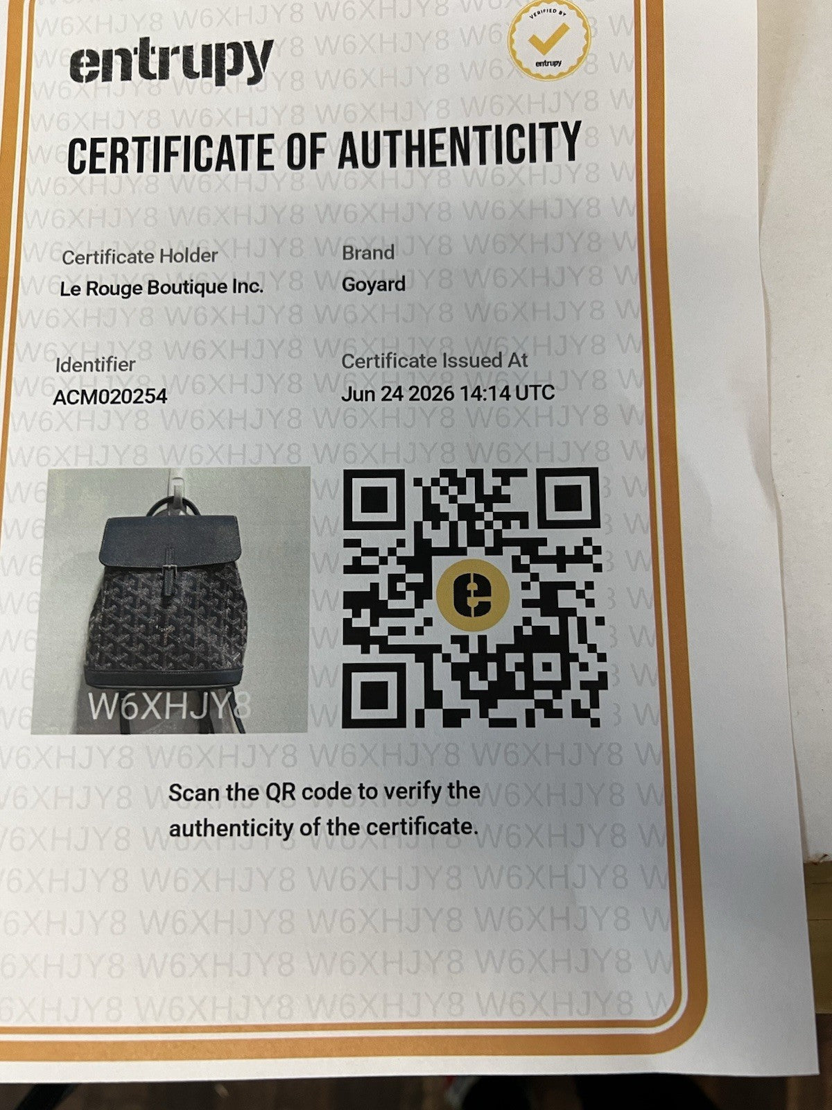 Goyard Goyardine Mini Alpin backpack With Authenticity Retail $4000