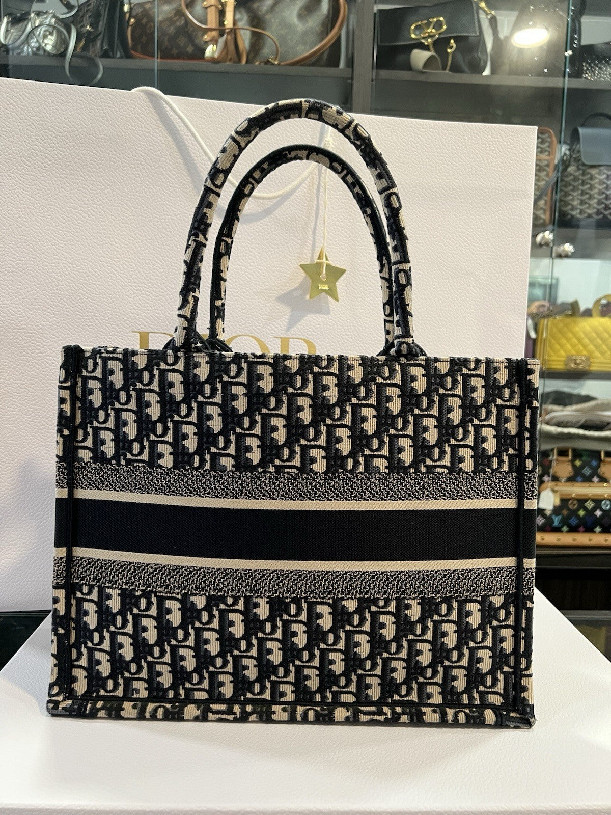 Christian Dior Medium Oblique Book Tote (NEW)