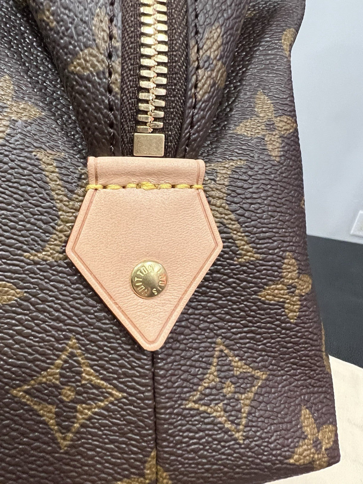 Louis Vuitton Monogram GM Cosmetic Pouch