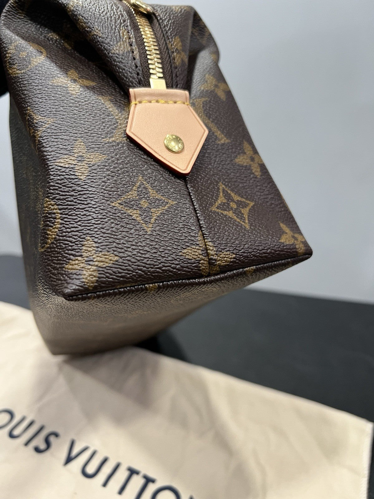 Louis Vuitton Monogram GM Cosmetic Pouch