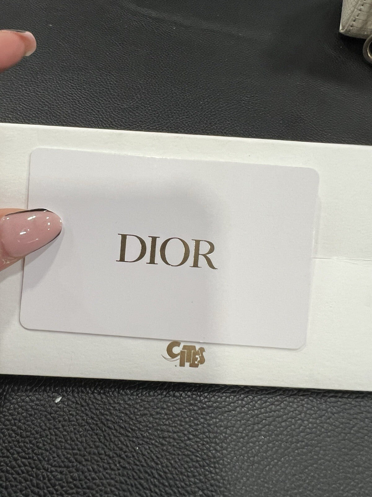 Christian Dior Lizard Ivory/Gold D-Joy Bag