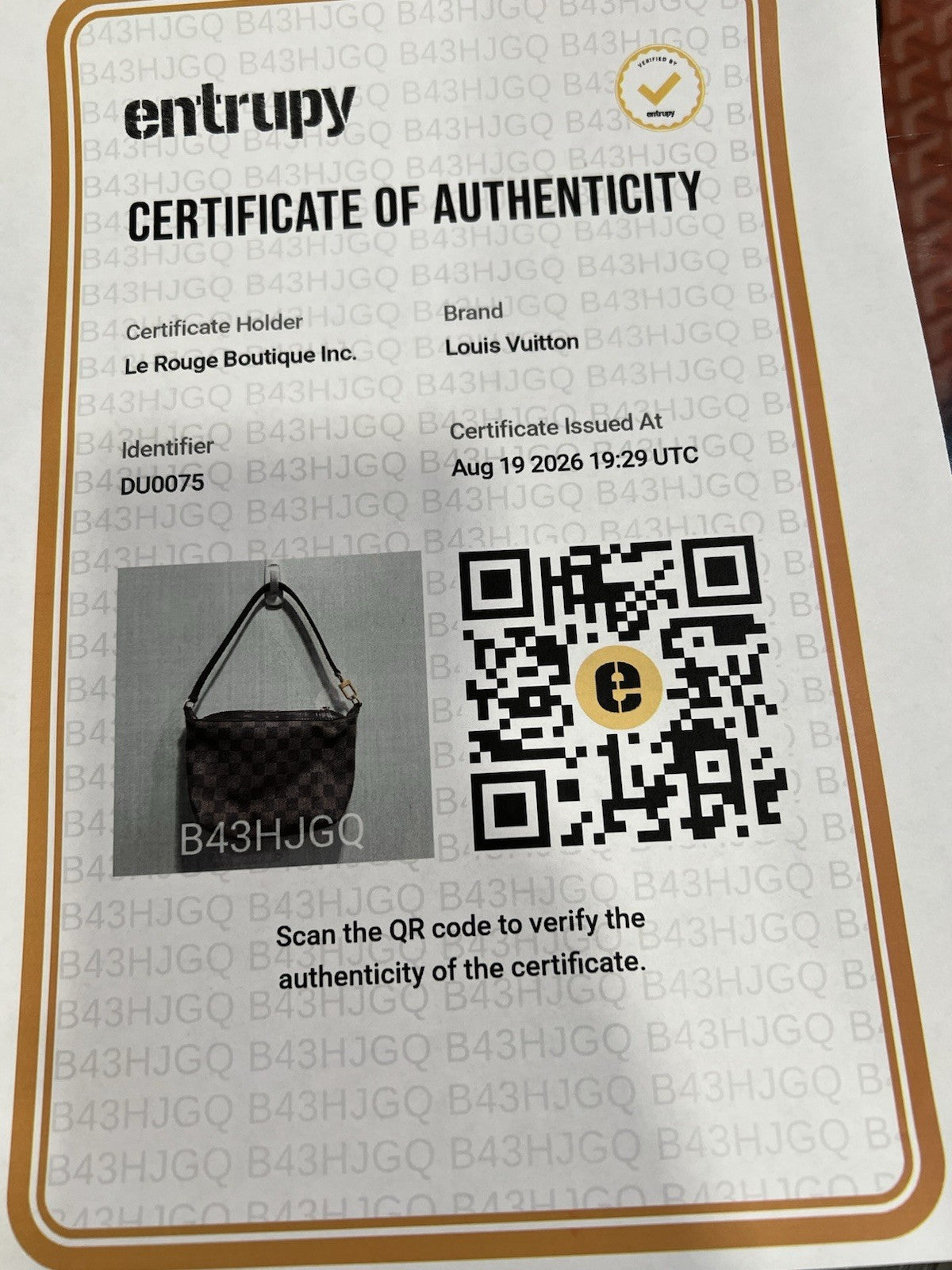 Louis Vuitton Damier Ebene Illovo PM W/Authenticity