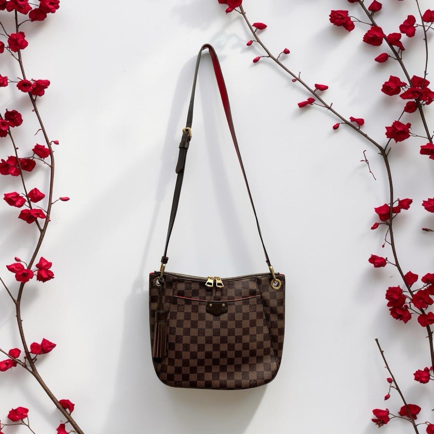 Louis Vuitton Damier Ebene South Bank Besace Crossbody Bag W/ Authenticity
